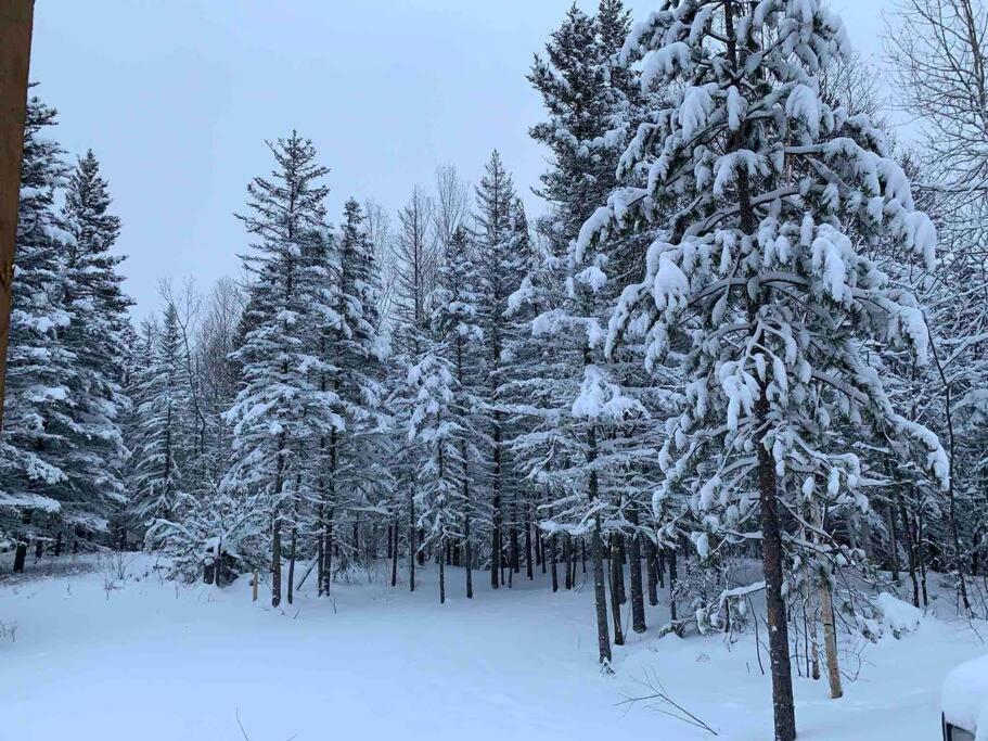 Appartement Mont Edouard, Hebergement Paisible A La Montagne LʼAnse-Saint-Jean Buitenkant foto