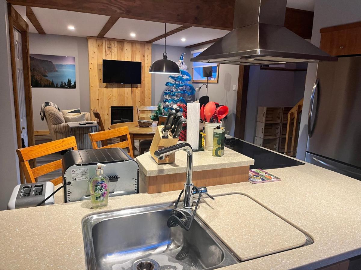 Appartement Mont Edouard, Hebergement Paisible A La Montagne LʼAnse-Saint-Jean Buitenkant foto