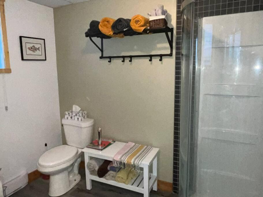 Appartement Mont Edouard, Hebergement Paisible A La Montagne LʼAnse-Saint-Jean Buitenkant foto