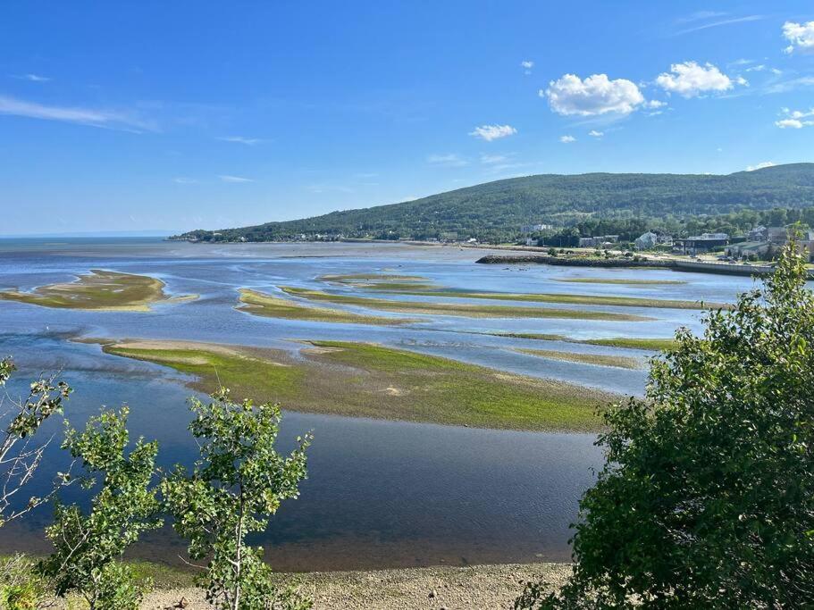 Appartement Mont Edouard, Hebergement Paisible A La Montagne LʼAnse-Saint-Jean Buitenkant foto