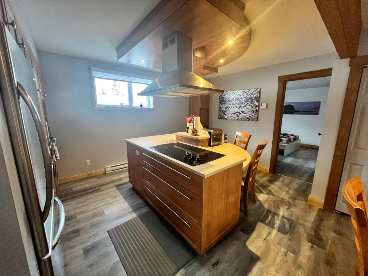 Appartement Mont Edouard, Hebergement Paisible A La Montagne LʼAnse-Saint-Jean Buitenkant foto