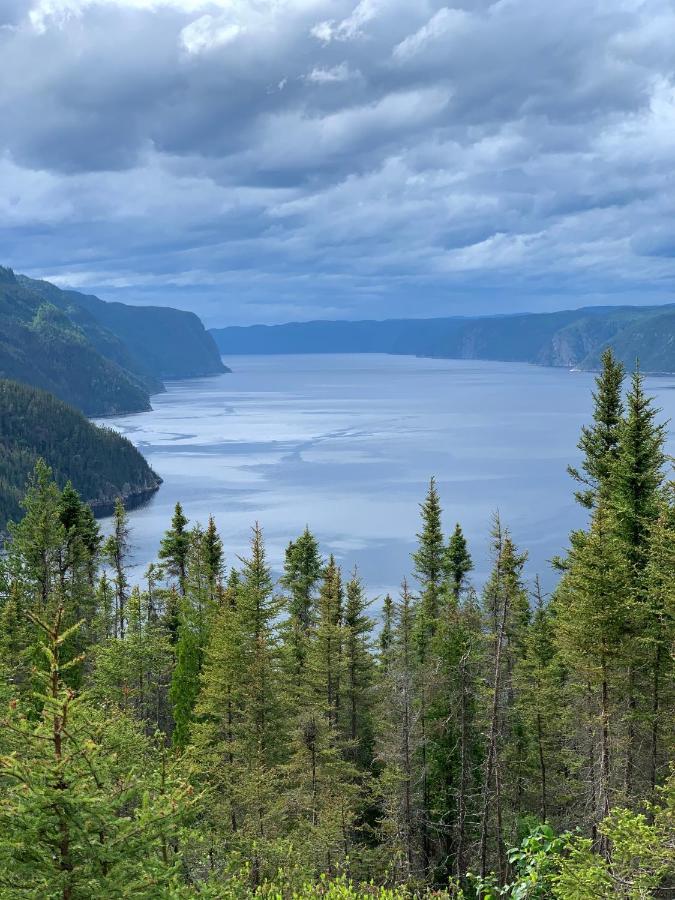 Appartement Mont Edouard, Hebergement Paisible A La Montagne LʼAnse-Saint-Jean Buitenkant foto