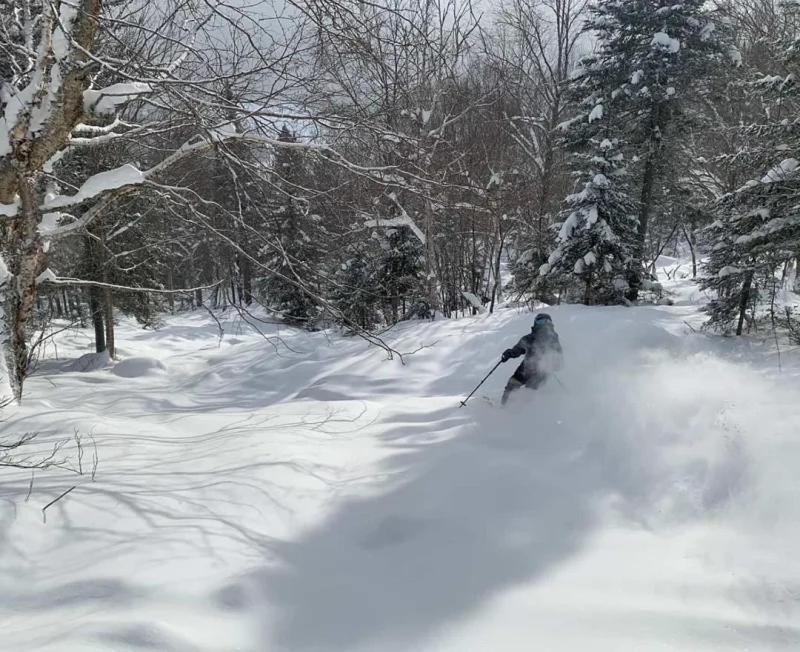 Appartement Mont Edouard, Hebergement Paisible A La Montagne LʼAnse-Saint-Jean Buitenkant foto